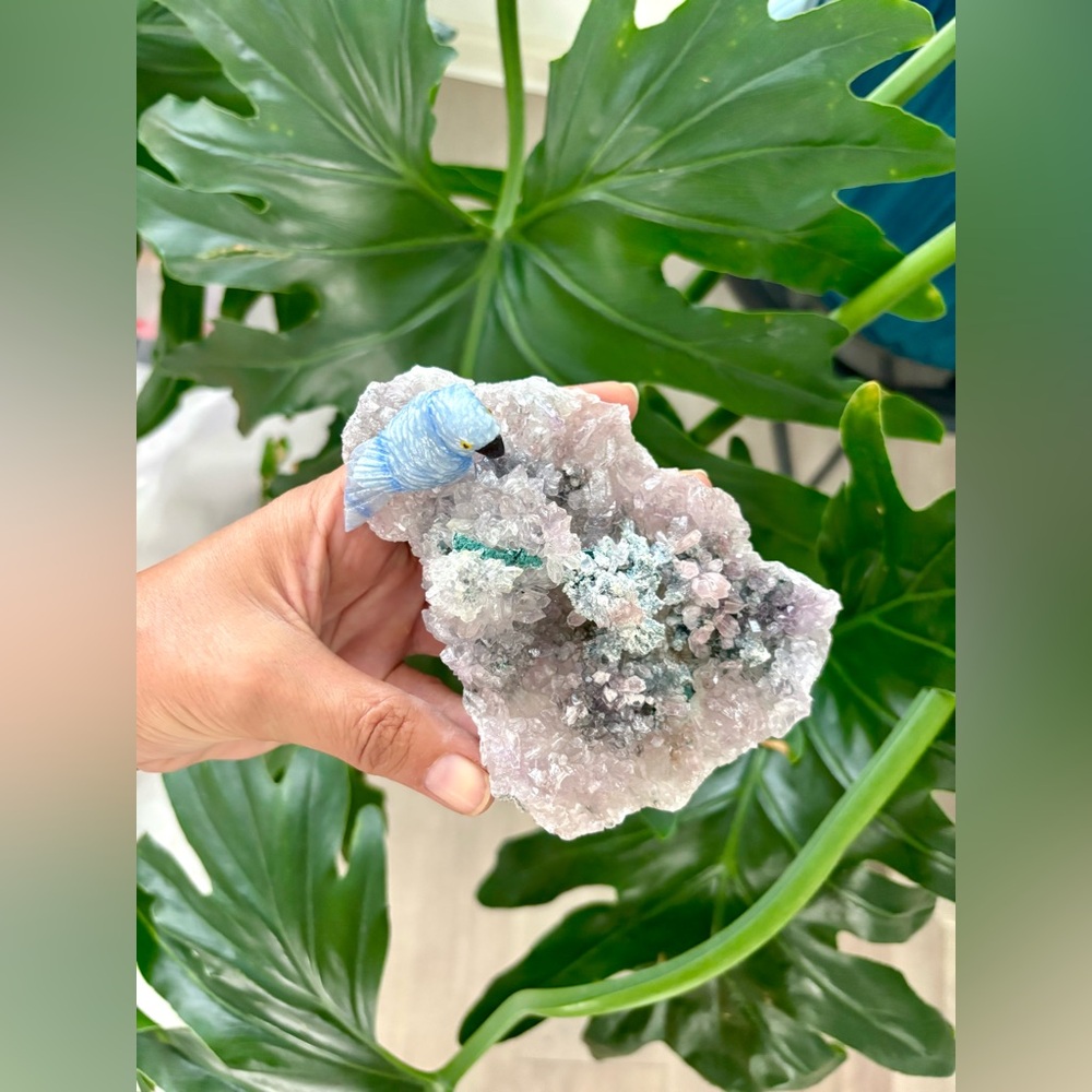 Parrot carving on Amethyst Flower
